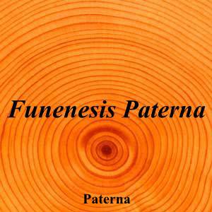 Funenesis Paterna|Funeraria|funenesis-paterna|||Carrer Forners, 46988 Paterna, Valencia|Paterna|899|valencia|Valencia|albia.es|961 34 44 50|info@albia.es|https://goo.gl/maps/Nk2XJe2j2PAAv17b9|