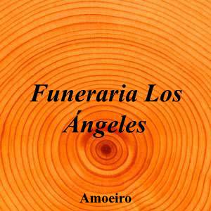 Funeraria Los Ángeles|Funeraria|funeraria-angeles|||Rúa Campo do Souto, 25, 32170 Amoeiro, Ourense|Amoeiro|888|ourense|Ourense|serviciosfunebreslosangeles.com|988 28 10 50|info@funerarialosangeles.org|https://goo.gl/maps/xexgKkLDh8VcCBGt5|