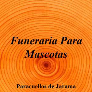 Funeraria Para Mascotas|Funeraria|funeraria-para-mascotas|||Calle Miguel de Cervantes, 13, 28860 Paracuellos de Jarama, Madrid|Paracuellos de Jarama|884|madrid|Madrid|sanantonioabadmc.com|913 83 03 22|//info@sanantonioabadmc.com|https://goo.gl/maps/gTbz8kjoJb4utSmg8|