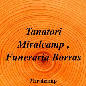 Tanatori Miralcamp , Funeraria Borras