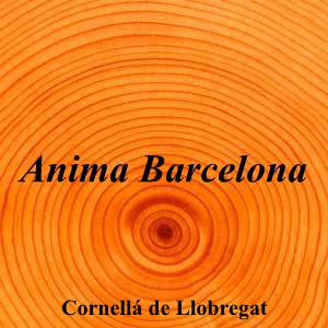 Anima Barcelona|Funeraria|anima-barcelona|1,0|1|Virgen del pilar 18 1-4, 08940 Cornellà de Llobregat, Barcelona|Cornellá de Llobregat|862|barcelona|Barcelona||654 80 49 25|-|https://goo.gl/maps/qn3shWaxdeBpZtN89|