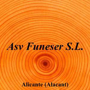 Asv Funeser S.L.|Funeraria|asv-funeser-sl-6|||Calle del Maestro Alonso, 158, 03012 Alicante|Alicante (Alacant)|856|alicante|Alicante||965 91 08 37|-|https://goo.gl/maps/hPSX8bvw6RciKSQZ7|