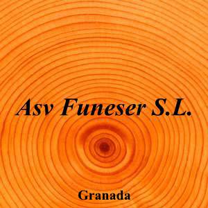 Asv Funeser S.L.|Funeraria|asv-funeser-sl|||Calle Dr. Barraquer, 3, 18012 Granada|Granada|873|granada|Granada||958 29 36 56|-|https://goo.gl/maps/9swWDcBp7EfRkRRD9|