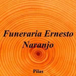 Funeraria Ernesto Naranjo|Funeraria|funeraria-ernesto-naranjo|||Calle Rafael Medina, 10, 41840 Pilas, Sevilla|Pilas|892|segovia|Sevilla|||-|https://goo.gl/maps/pFiwGXHRdaB4NtfF7|