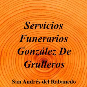 Servicios Funerarios González De Grulleros