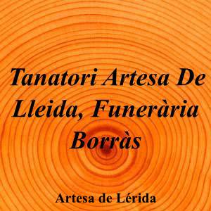 Tanatori Artesa De Lleida, Funerària Borràs