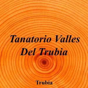 Tanatorio Valles Del Trubia