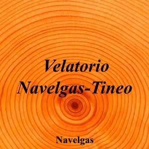Velatorio Navelgas-Tineo