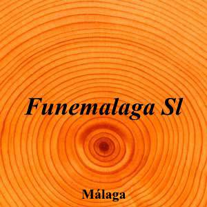 Funemalaga Sl|Funeraria|funemalaga-sl|||Alameda del Patrocinio, 12, 29013 Málaga|Málaga|885|malaga|Málaga||952 65 22 97|-|https://goo.gl/maps/QYyXjZhb412ussKUA|