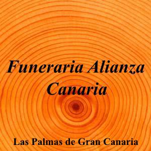 Funeraria Alianza Canaria|Funeraria|funeraria-alianza-canaria|||Calle José Franchy Roca, 13, 35007 Las Palmas de Gran Canaria, Las Palmas|Las Palmas de Gran Canaria|880|las-palmas|Las Palmas|||-|https://goo.gl/maps/nn97vvpu6XXW5GQC7|