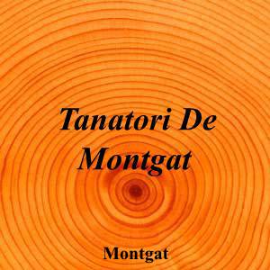 Tanatori De Montgat