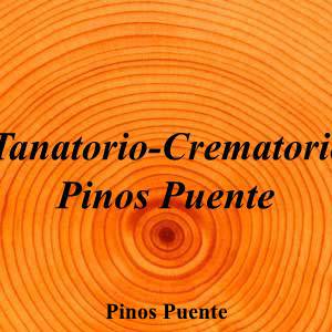 Tanatorio-Crematorio Pinos Puente