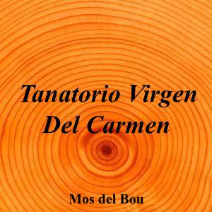 Tanatorio Virgen Del Carmen