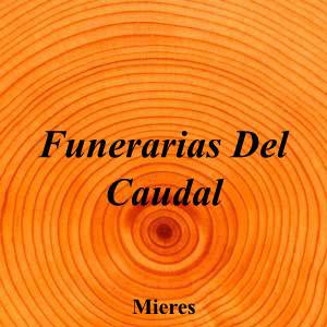 Funerarias Del Caudal|Funeraria|funerarias-caudal|||Calle Oñón, 21, 33600 Mieres, Asturias|Mieres|858|asturias|Asturias|delcaudal.com|985 46 46 38|-|https://goo.gl/maps/xGsx3RnBZNfBK48G6|