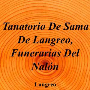 Tanatorio De Sama De Langreo, Funerarias Del Nalón