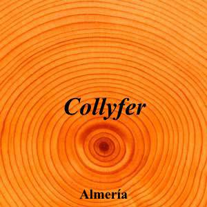 Collyfer|Funeraria|collyfer|||Calle Arboleas, 1, 04660 Almería|Almería|857|almeria|Almería|collyfer.es|950 61 61 61|-|https://goo.gl/maps/EwnC72VUES9fuDQc8|