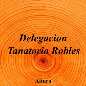 Delegacion Tanatorio Robles|Funeraria|delegacion-tanatorio-robles|5,0|1|Av. de España, 55, 12410 Altura, Castellón|Altura|868|castellon|Castellón||650 83 51 87|-|https://goo.gl/maps/rKPp2wDTF3Yx2hE77|