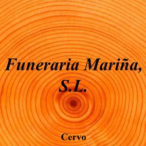 Funeraria Mariña, S.L.|Funeraria|funeraria-marina-sl|4,3|6|Polígono de Cuiña, San Ciprián, 27891 Cervo, Lugo|Cervo|883|lugo|Lugo|funerariaburela.es|982 58 01 99|-|https://goo.gl/maps/x56tAsaUQxrAZNW78|