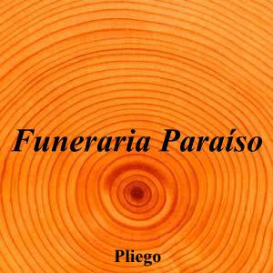Funeraria Paraíso|Funeraria|funeraria-paraiso|||Plaza Mayor, 5, 30176 Pliego, Murcia|Pliego|886|murcia|Murcia|funerariasenmurcia-paraiso.es|609 46 52 52|tanatoriofunerariaparaiso@gmail.com|https://goo.gl/maps/Ae2oJ2yg6rEWUz8p8|