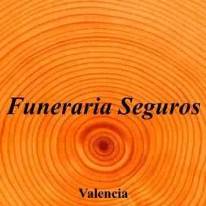 Funeraria Seguros|Funeraria|funeraria-seguros|||Carrer de l'Arquebisbe Fabián i Fuero, 33, 46009 València, Valencia|Valencia|899|valencia|Valencia|||-|https://goo.gl/maps/y5bnDXmJYoLATYvc6|