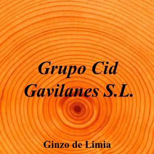 Grupo Cid Gavilanes S.L.