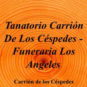 Tanatorio Carrión De Los Céspedes - Funeraria Los Angeles