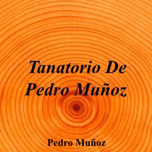 Tanatorio De Pedro Muñoz