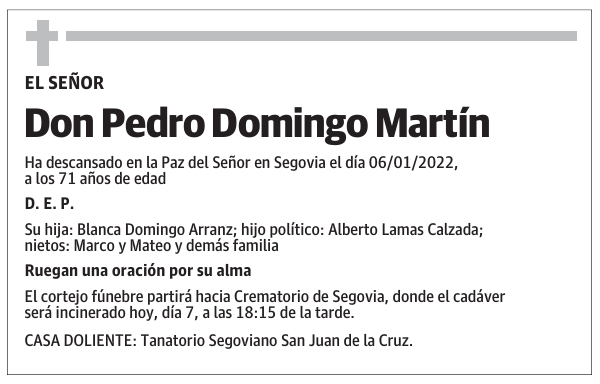 Don Pedro Domingo Martín