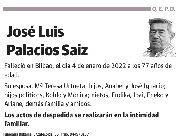 José Luis Palacios Saiz
