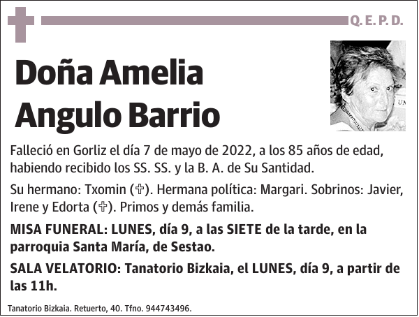 Amelia Angulo Barrio