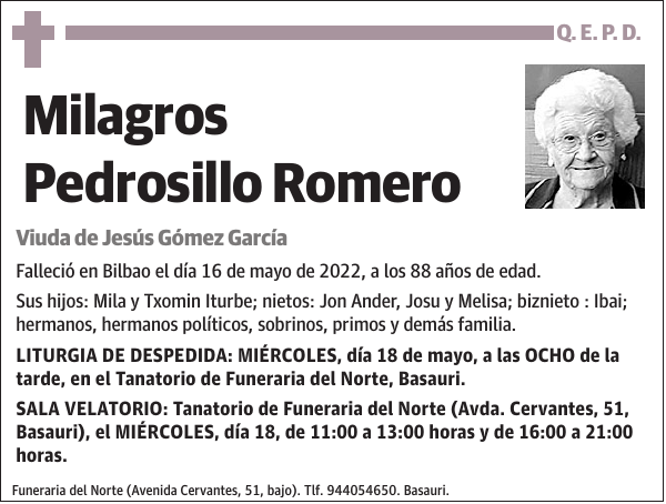 Milagros Pedrosillo Romero