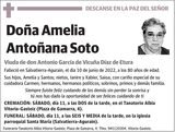 Amelia  Antoñana  Soto