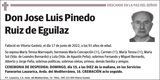 Jose  Luis  Pinedo  Ruiz  de  Eguilaz