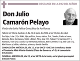 Julio  Camarón  Pelayo