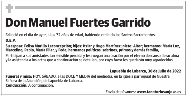Don  Manuel  Fuertes  Garrido