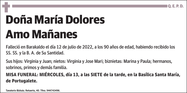 María Dolores Amo Mañanes